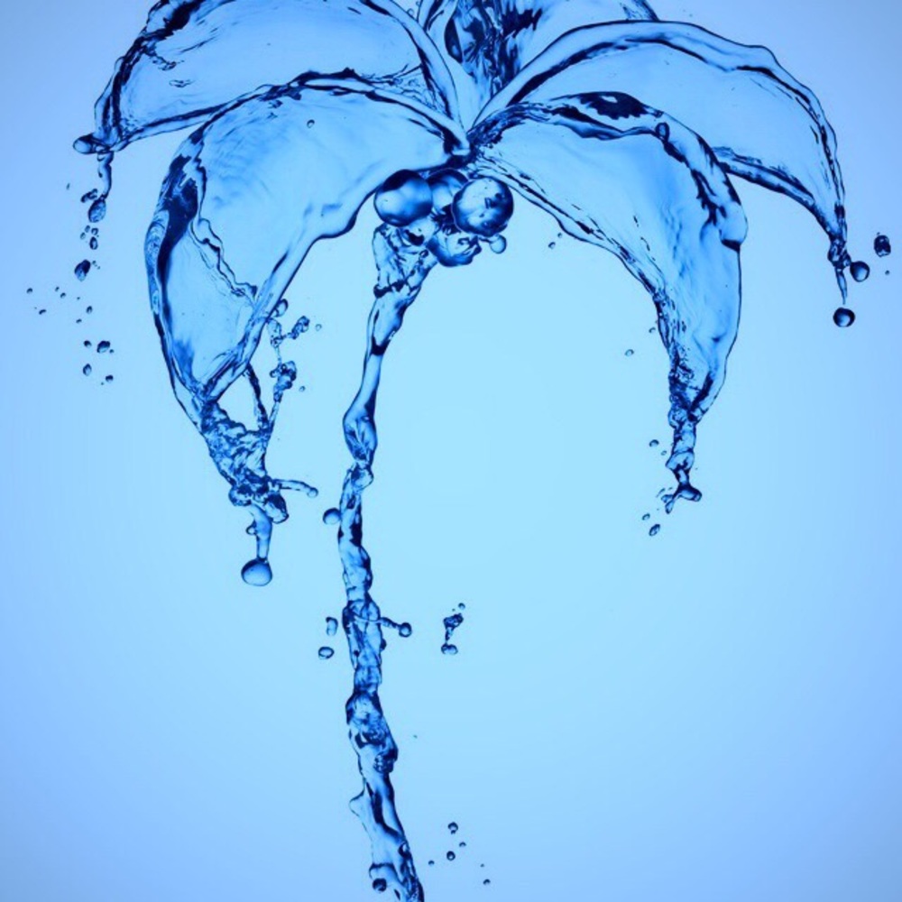 🤩🤩 TOP RATED AND FAST SHIPPING 🤩🤩 - Picture 6 of 7